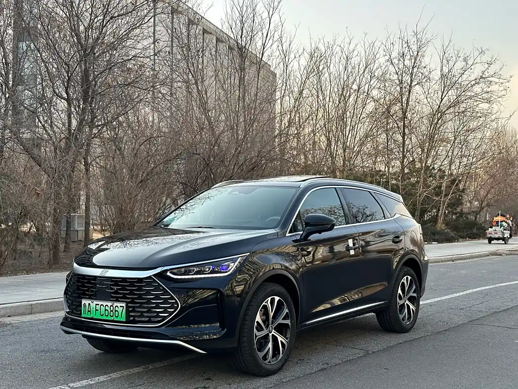 BYD TANG NEW ENERGY
