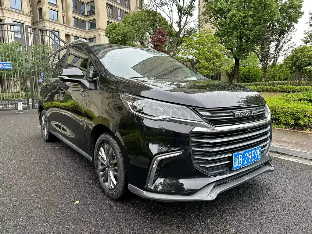 MAXUS OTHER 2019