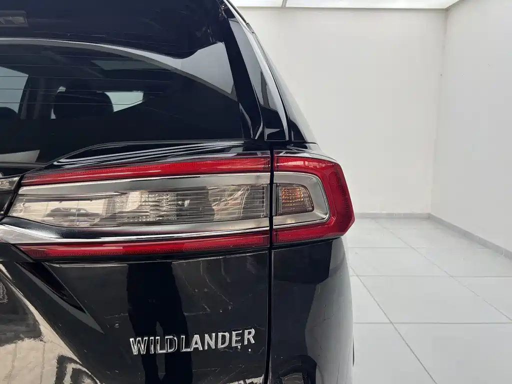 TOYOTA WILDLANDER 2020