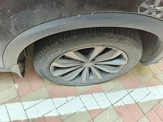 catalog-car-6