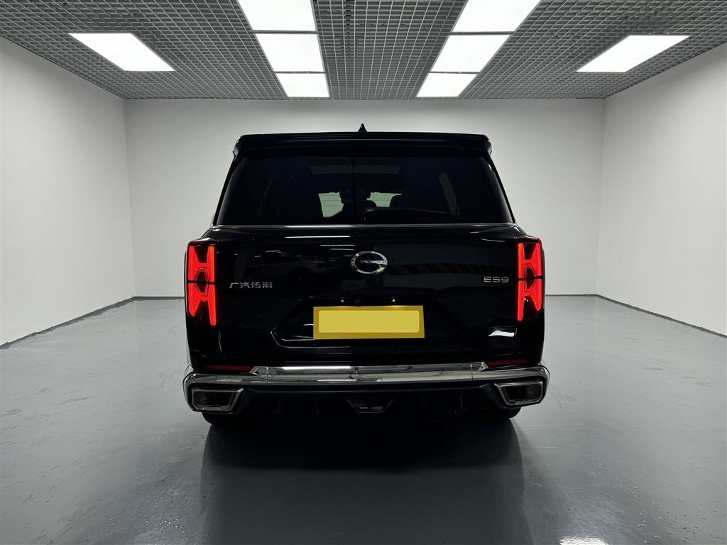 TRUMPCHI ES9 2024