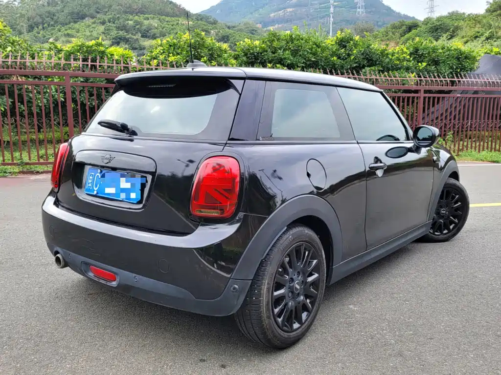 MINI OTHER 2021