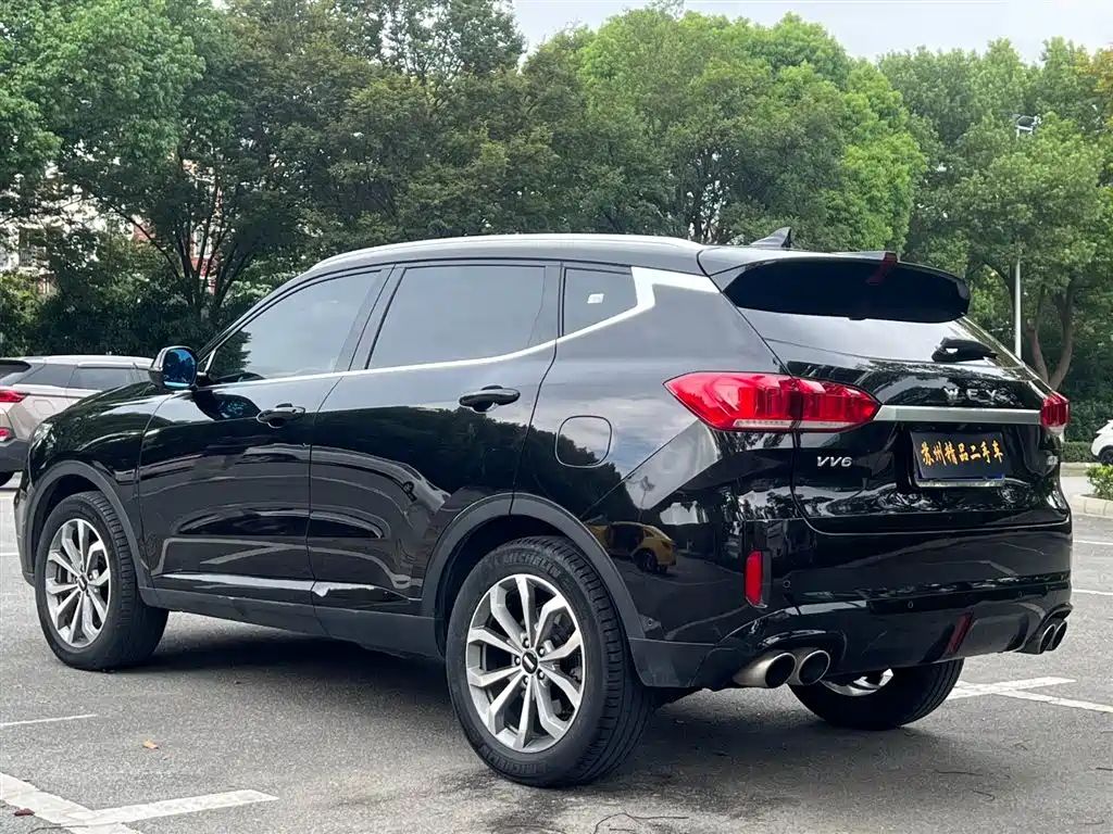 WEY VV6 2019