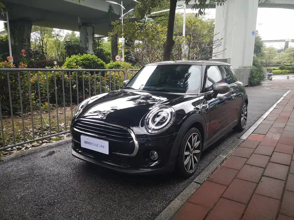 MINI OTHER 2021
