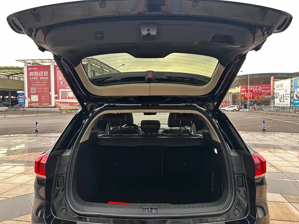 WEY VV6 2020