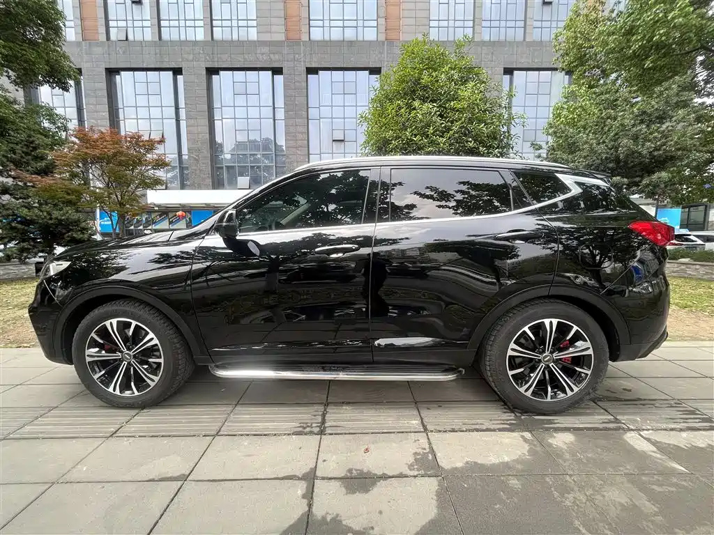 WEY VV6 2020