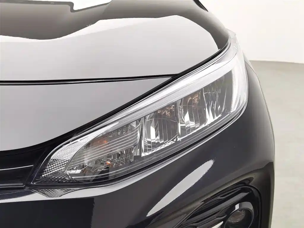 TOYOTA WILDLANDER 2022
