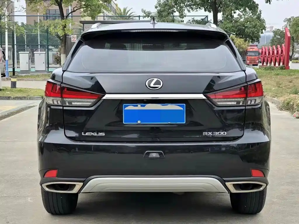 LEXUS RX 2019