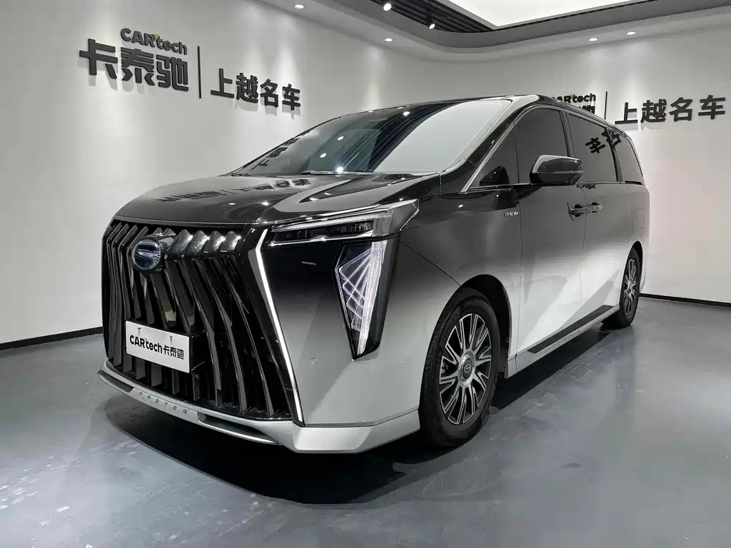 Аукционный лист TRUMPCHI E9 2023