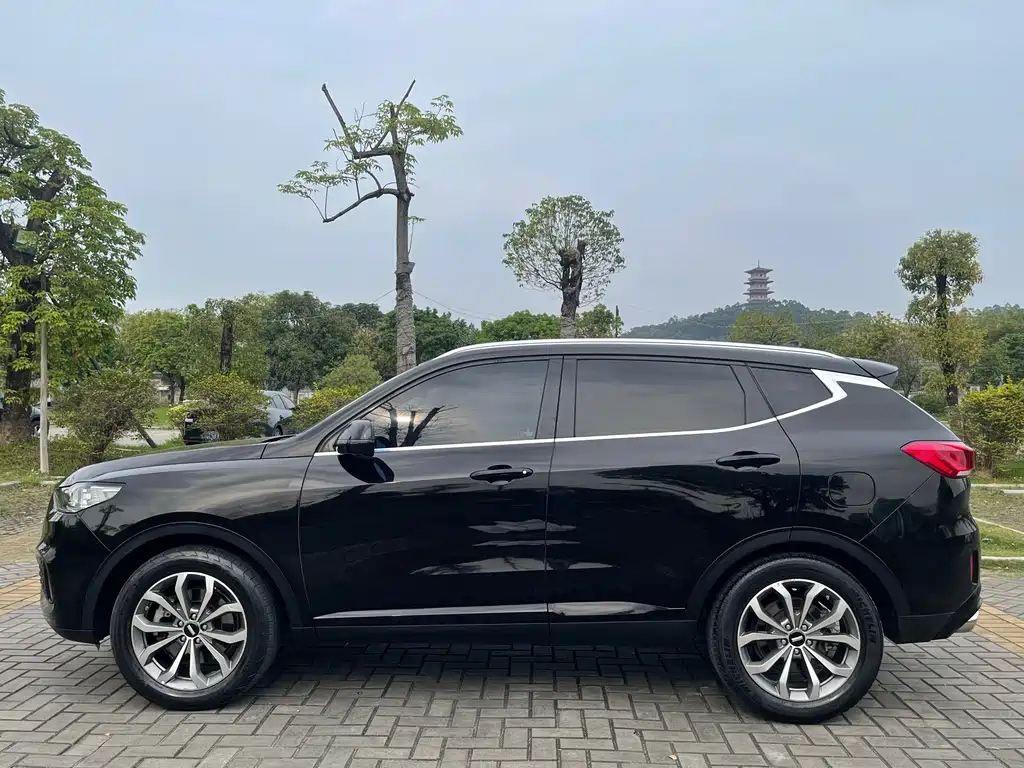 WEY VV6 2019