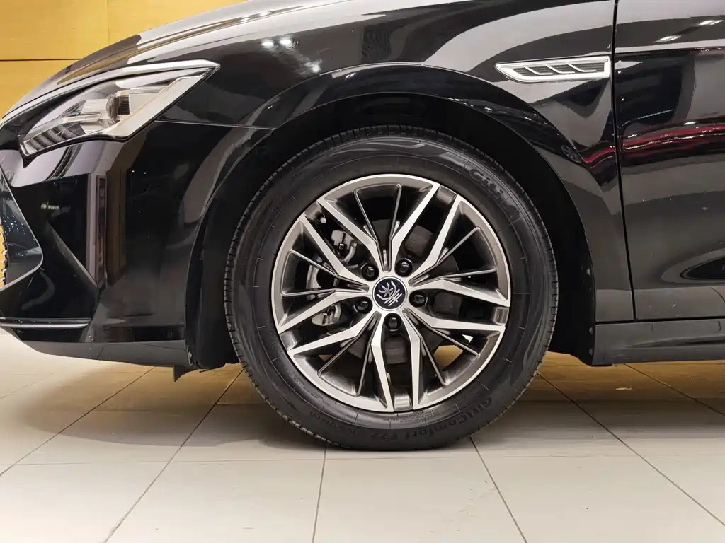 BYD QIN PLUS 2022