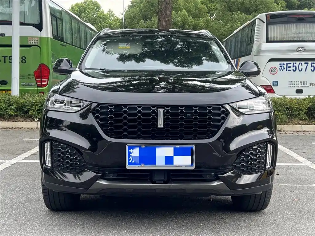 WEY VV6 2019