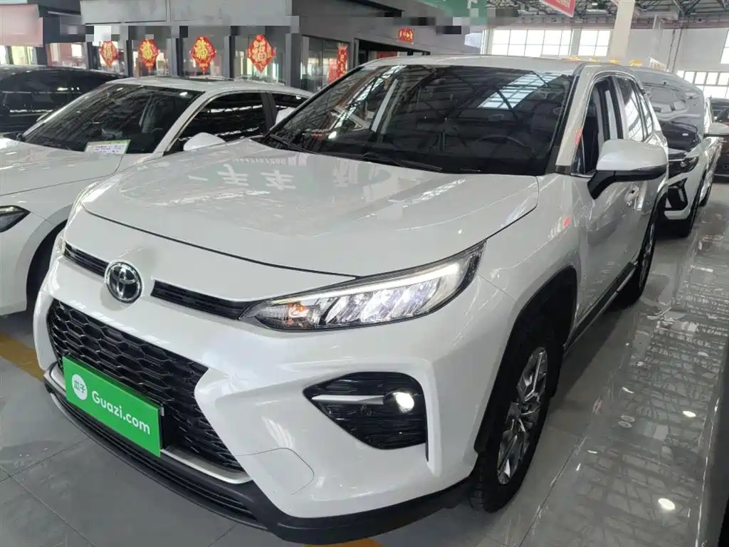 TOYOTA WILDLANDER 2020