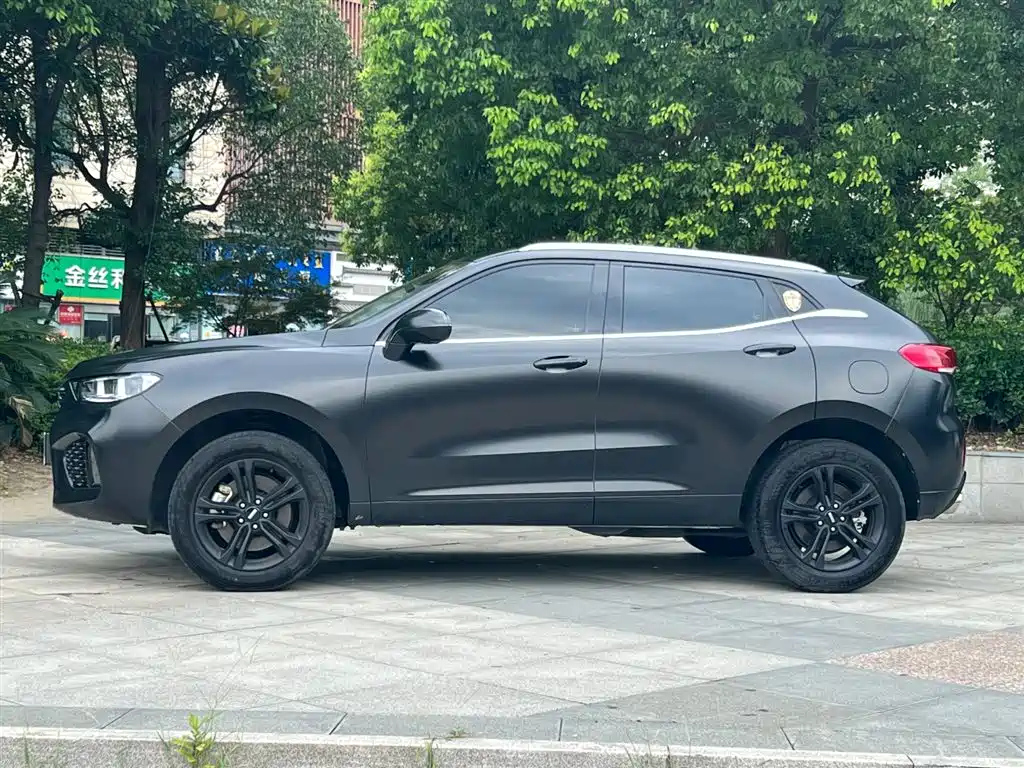 WEY VV5 2019