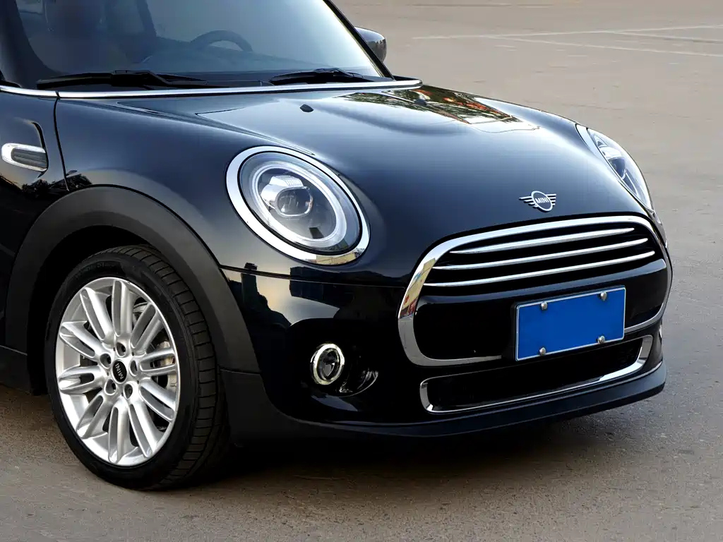 MINI OTHER 2020
