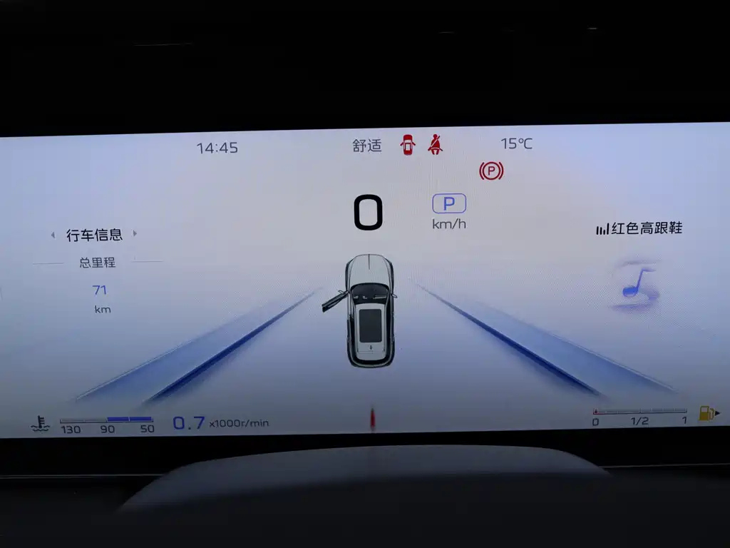 HONGQI HS5 2024