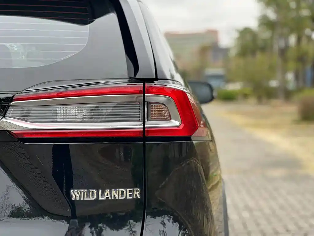 TOYOTA WILDLANDER 2020