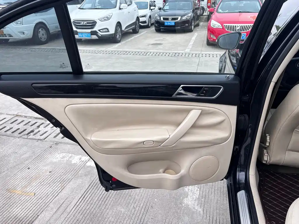 VOLKSWAGEN OTHER 2010