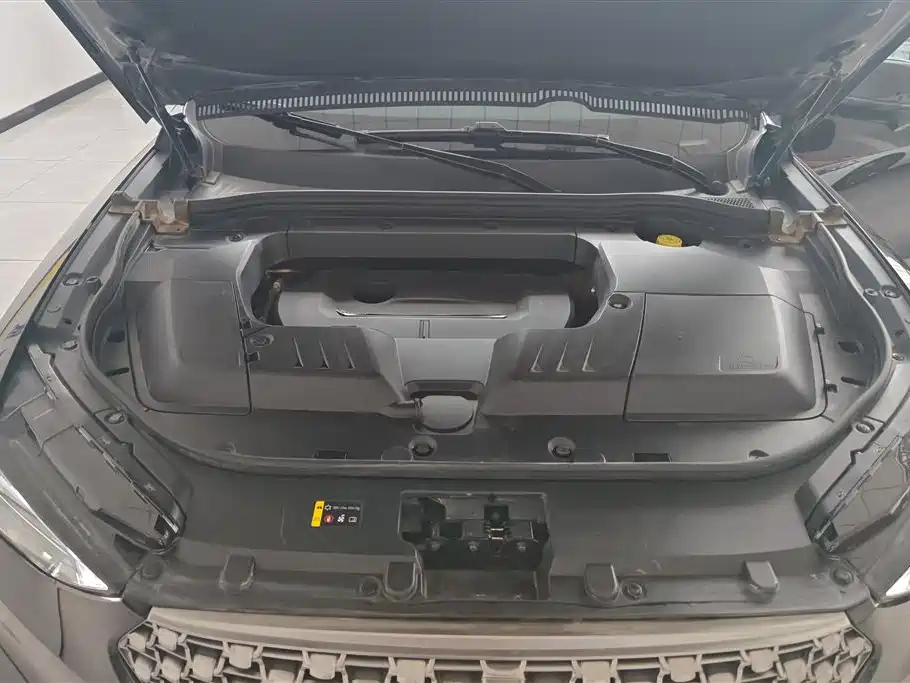 WEY VV6 2020
