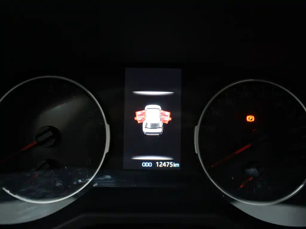 TOYOTA WILDLANDER 2022
