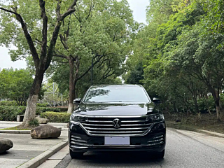 VOLKSWAGEN VILORAN 2020