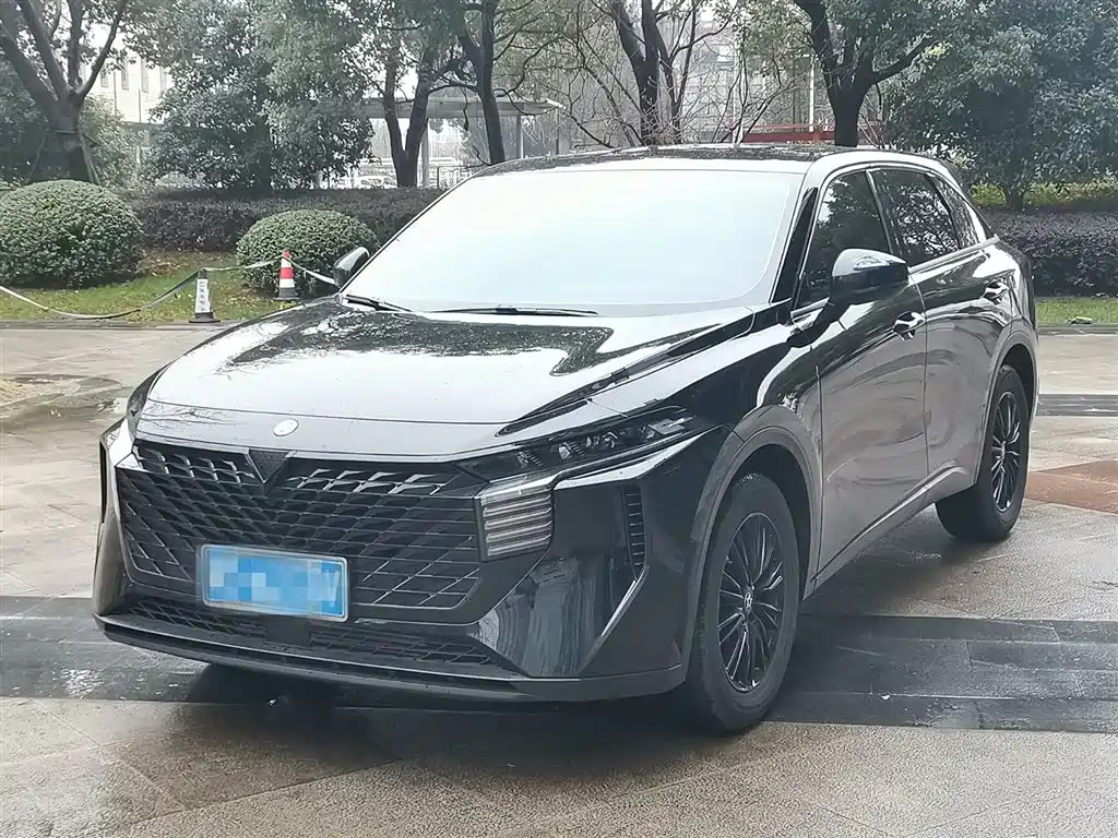 Аукционный лист VENUCIA BIG V 2022