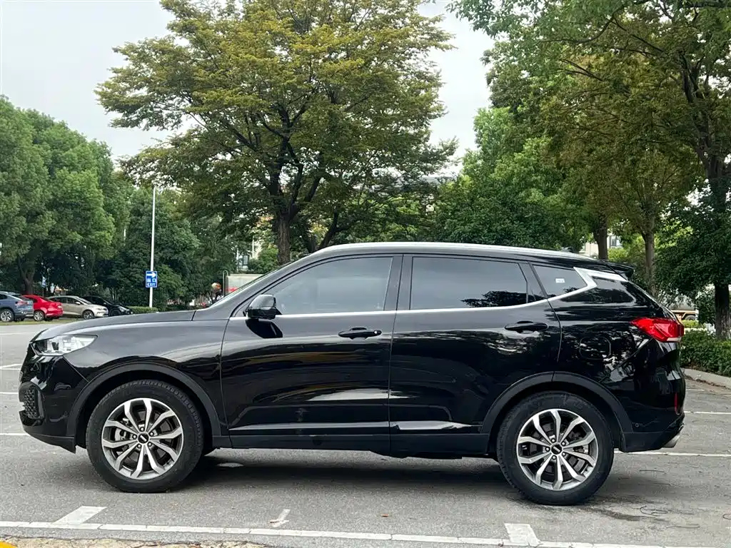WEY VV6 2019