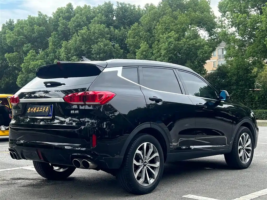 WEY VV6 2019