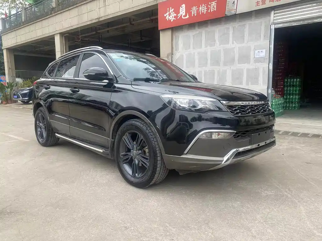 Аукционный лист LEOPAARD CS10 2015