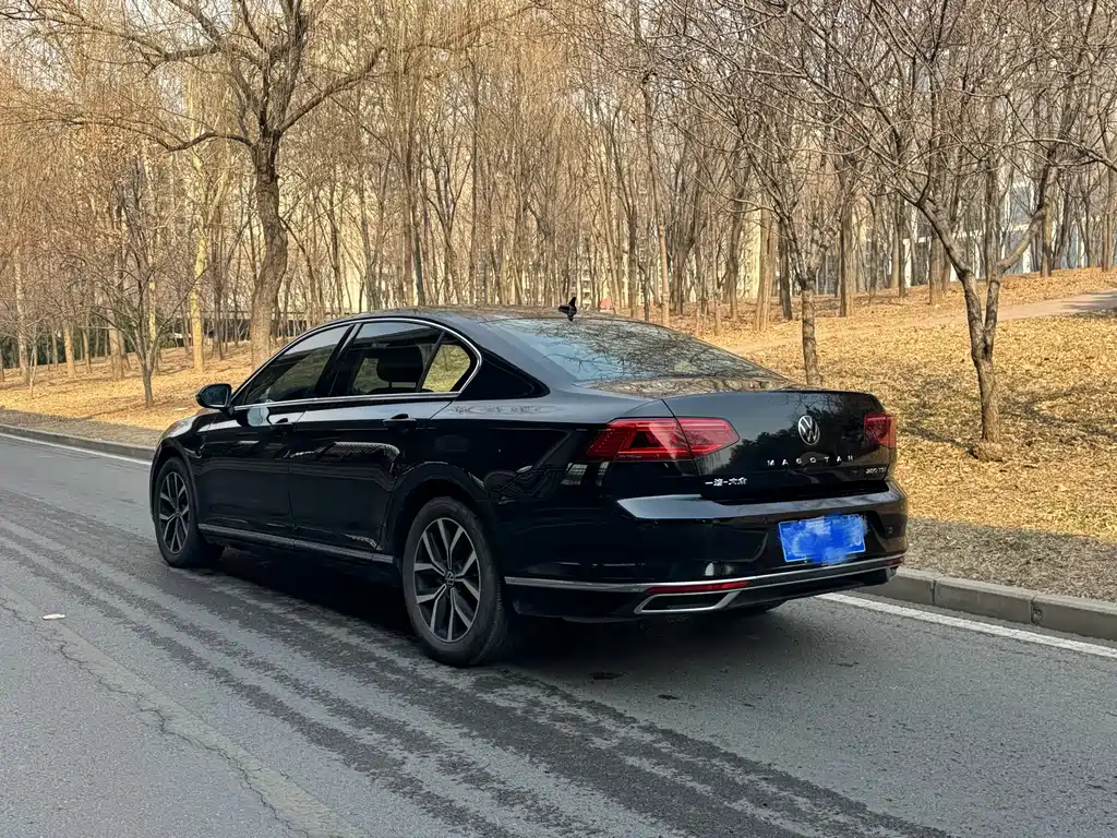 VOLKSWAGEN MAGOTAN 2020