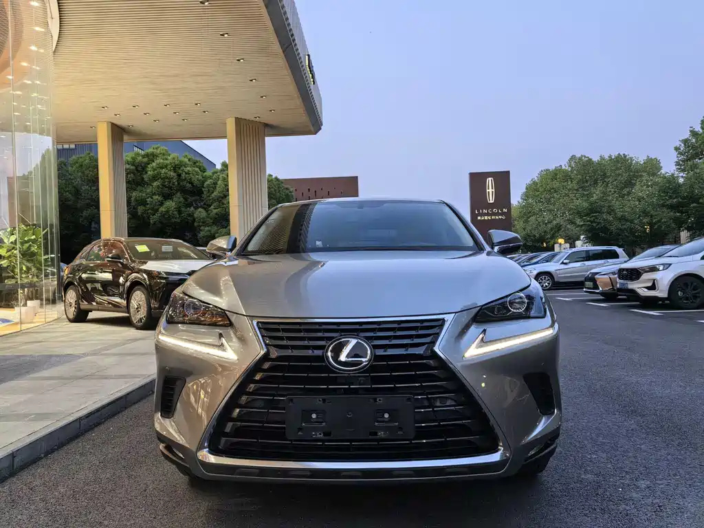 LEXUS NX 2020