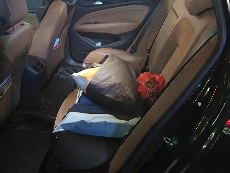BUICK REGAL 2019