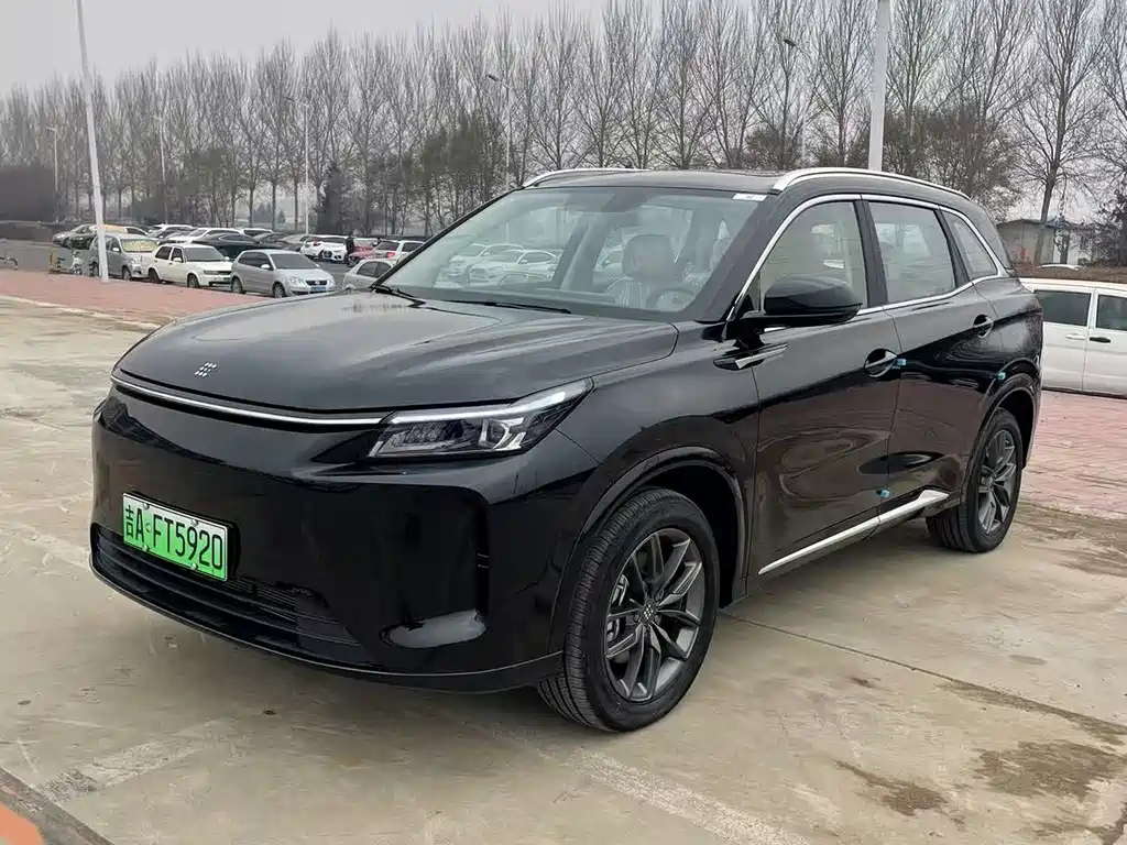 Аукционный лист DONGFENG OTHER 2025