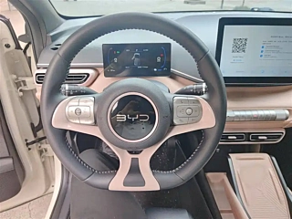 BYD SEAGULL  2025 YEAR 305KM FREEDOM EDITION 2025