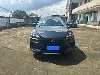 Заказать LEXUS RX
