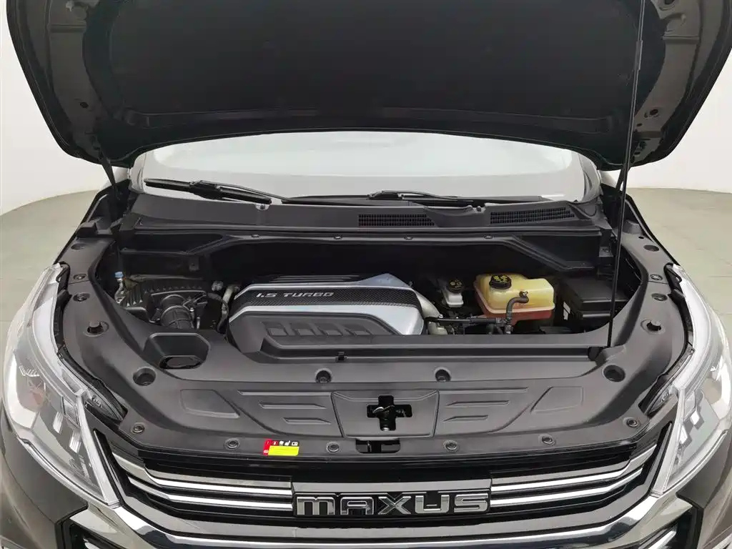 MAXUS OTHER 2020
