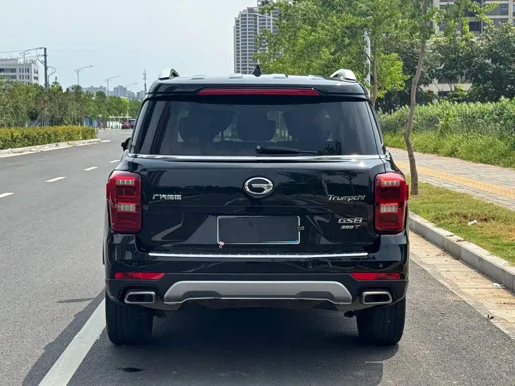 TRUMPCHI GS8 2019