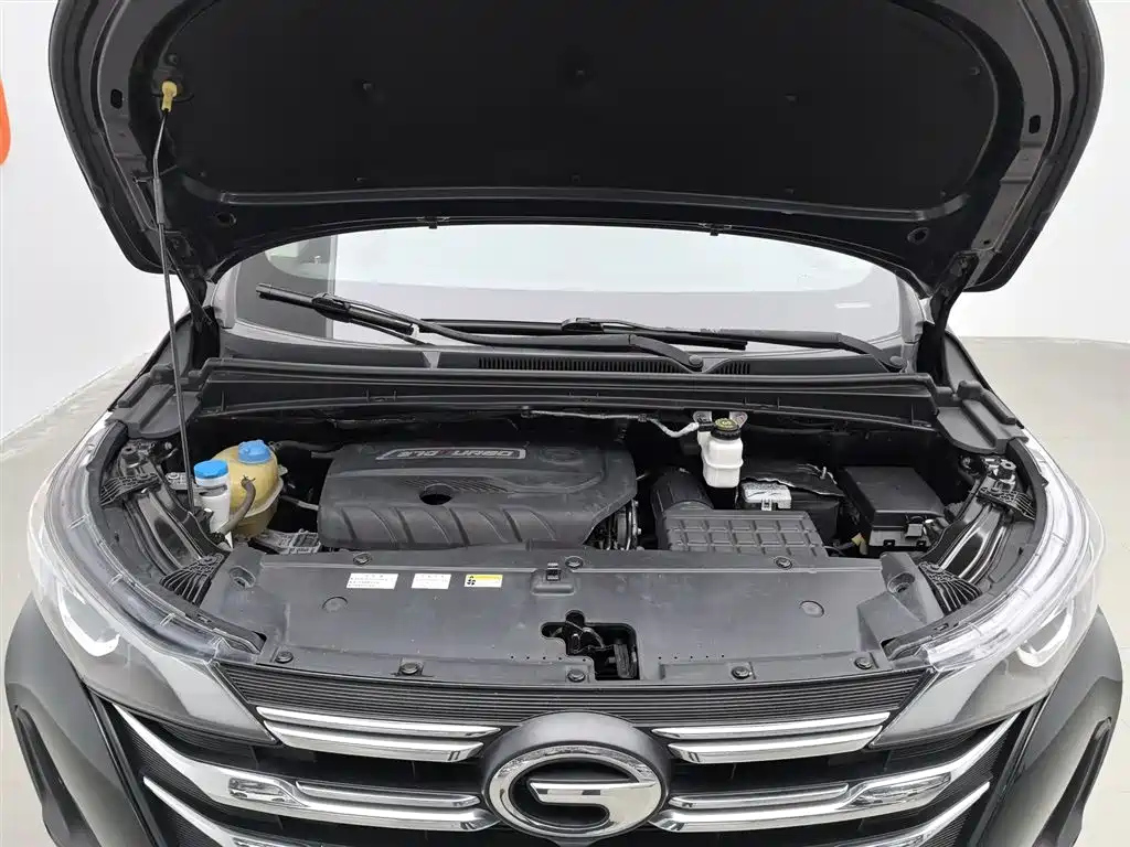 TRUMPCHI M6 2020