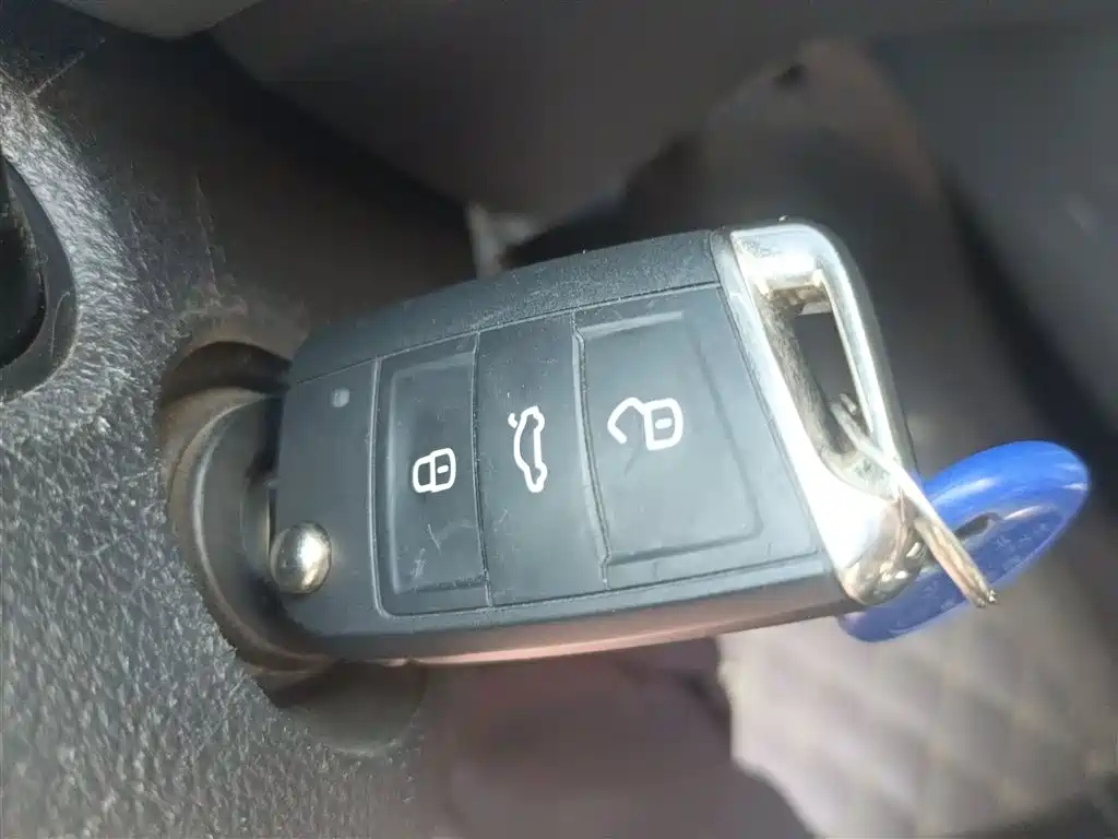 VOLKSWAGEN LAVIDA 2019