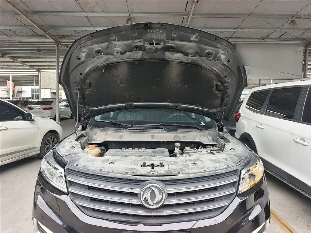 DONGFENG SCENERY 580 2020
