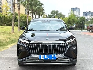 DONGFENG 皓极 2022