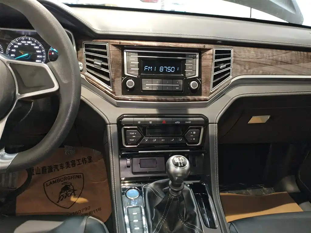 ZOTYE BIG 迈X7 2019