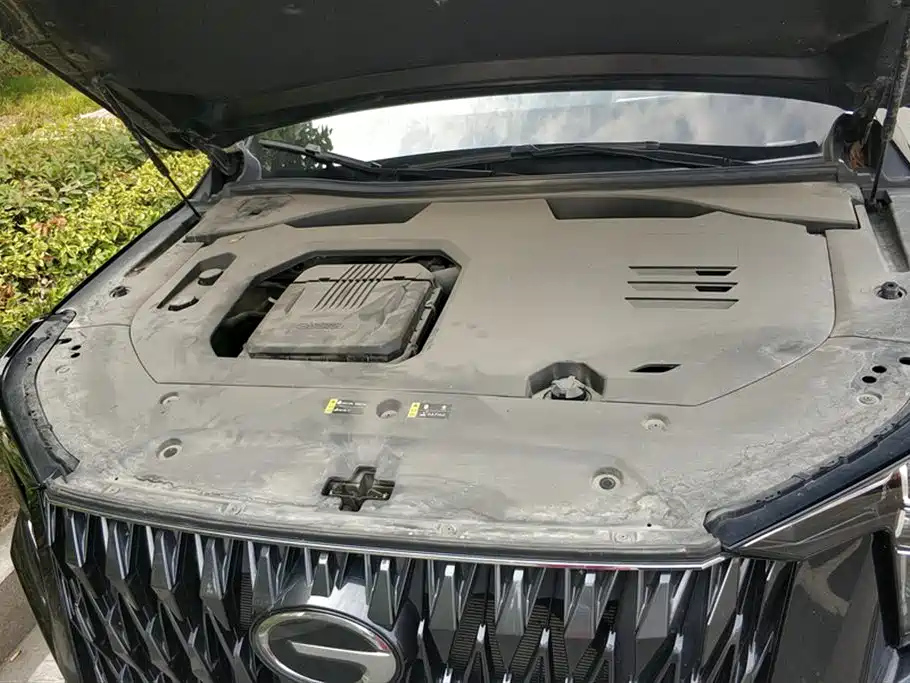 TRUMPCHI GS8 2022