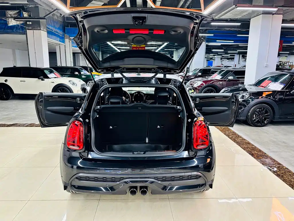 MINI OTHER 2023