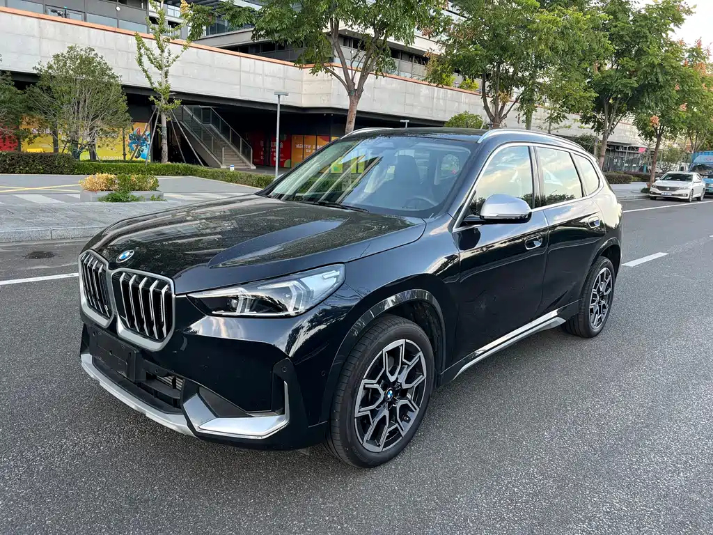 Аукционный лист BMW X1 2024