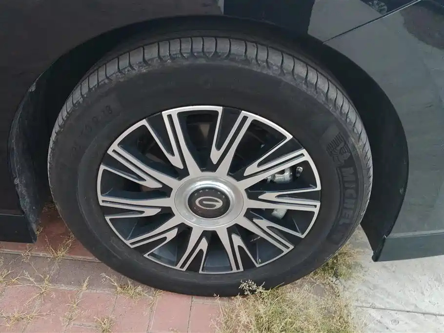 TRUMPCHI E9 2024