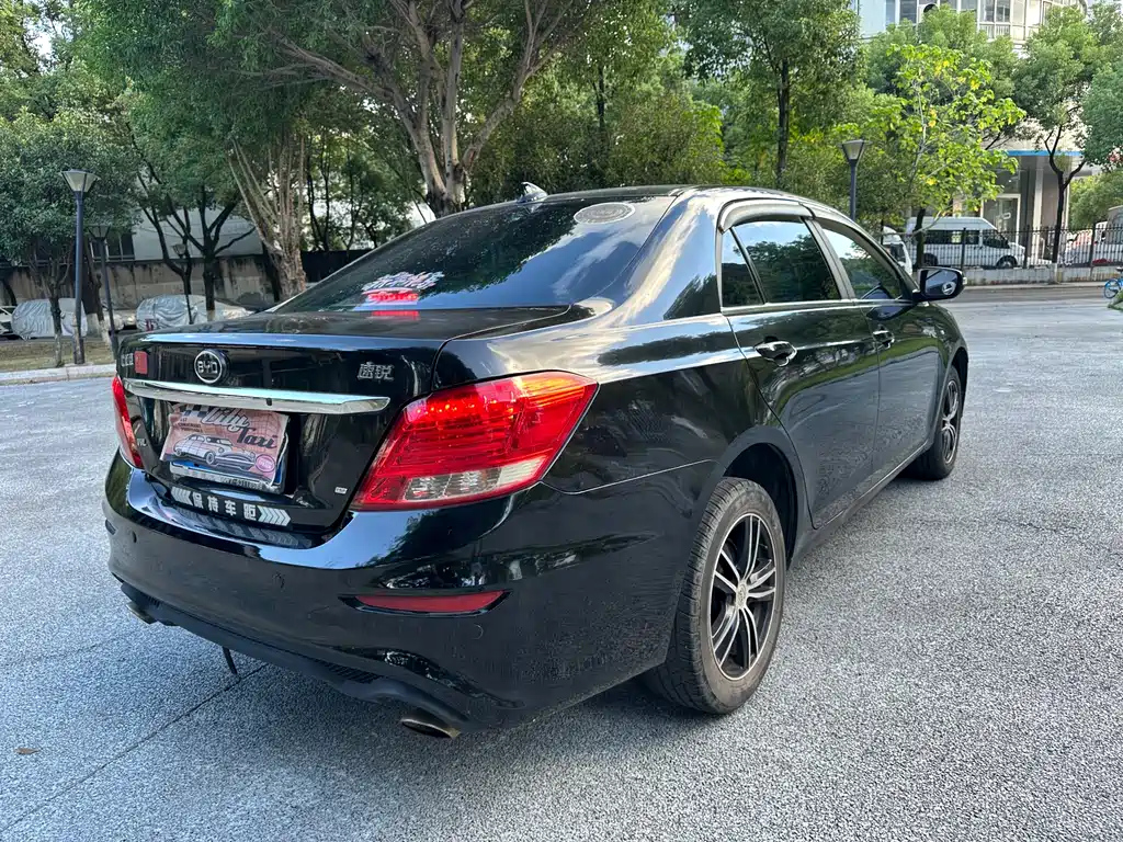 BYD OTHER 2015