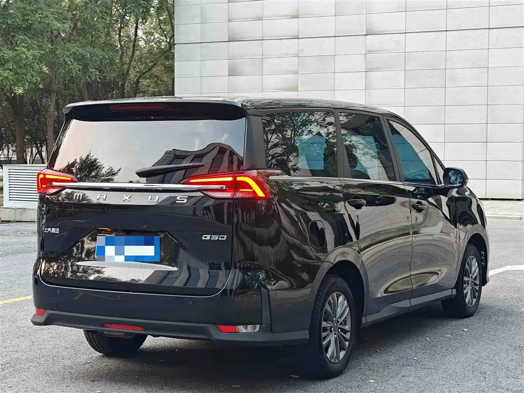 MAXUS OTHER 2019