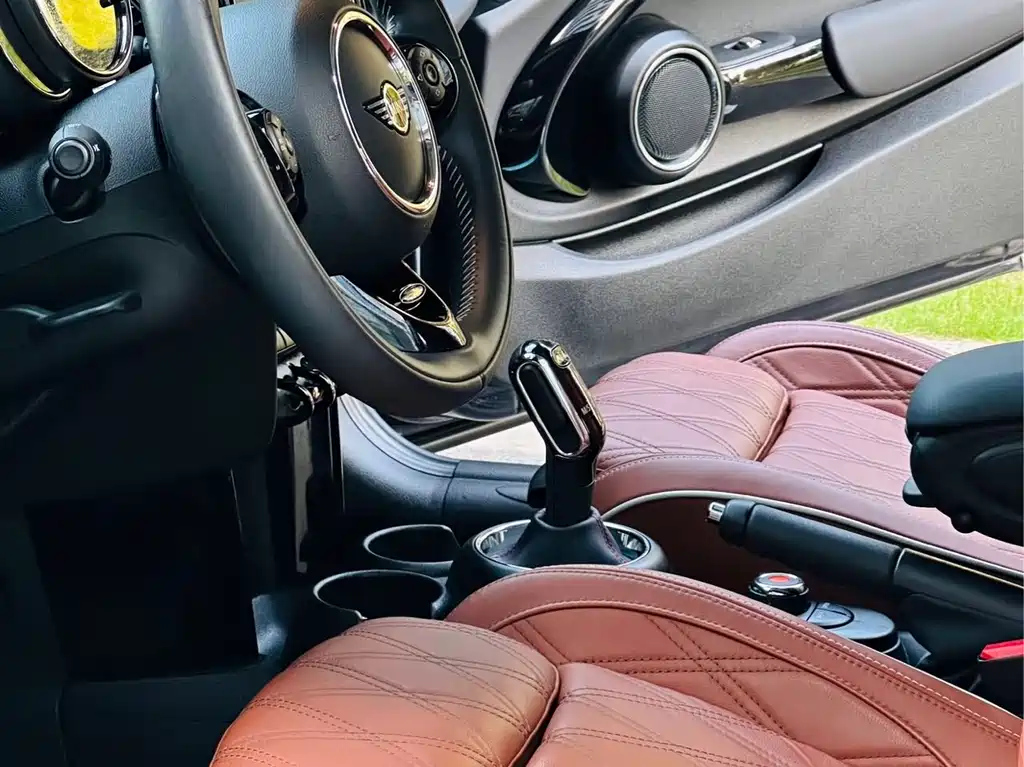 MINI OTHER 2020