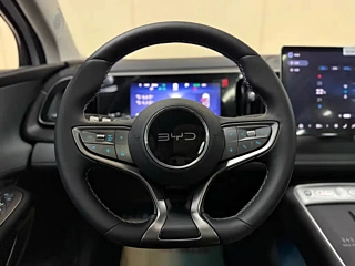 BYD OTHER 2025 YEAR 520KM EDITION 2025
